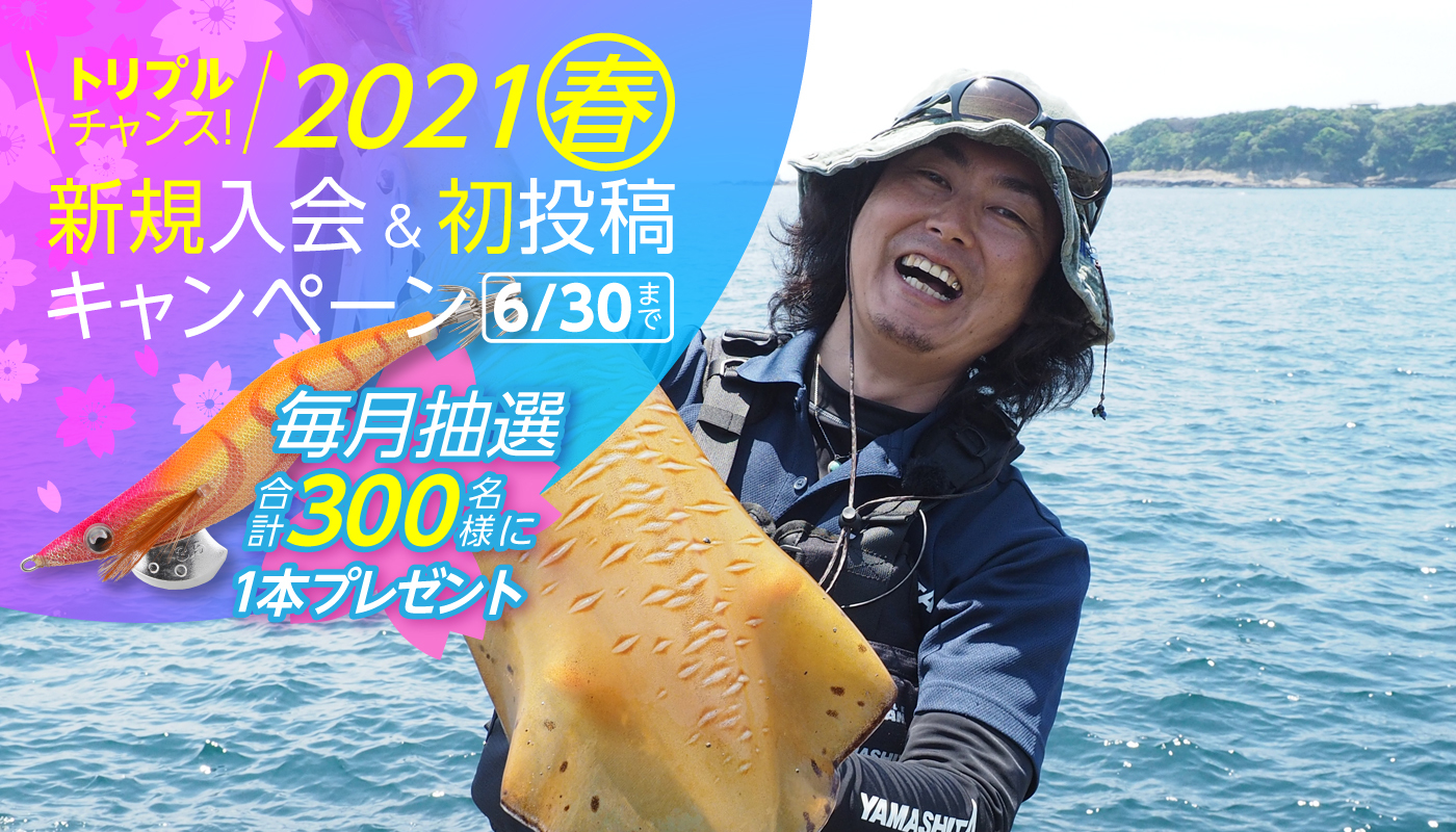 エギcom関東釣果情報 アオリイカのエギング釣果情報が日本最大級 15万人のイカ釣り専門のsnsコミュニティーです
