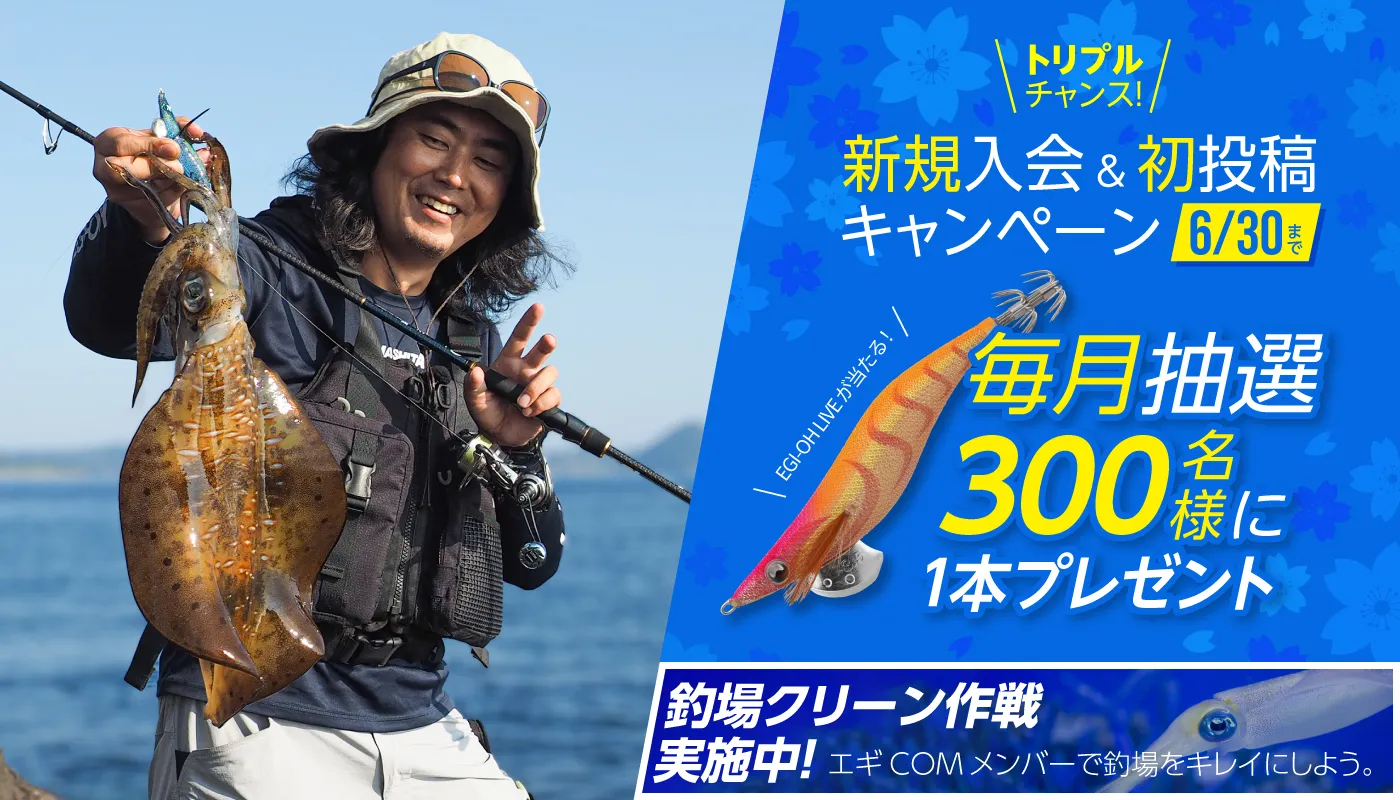 エギcom近畿釣果情報 日本最大級のイカ釣り情報を誇る万人利用のエギング専門sns