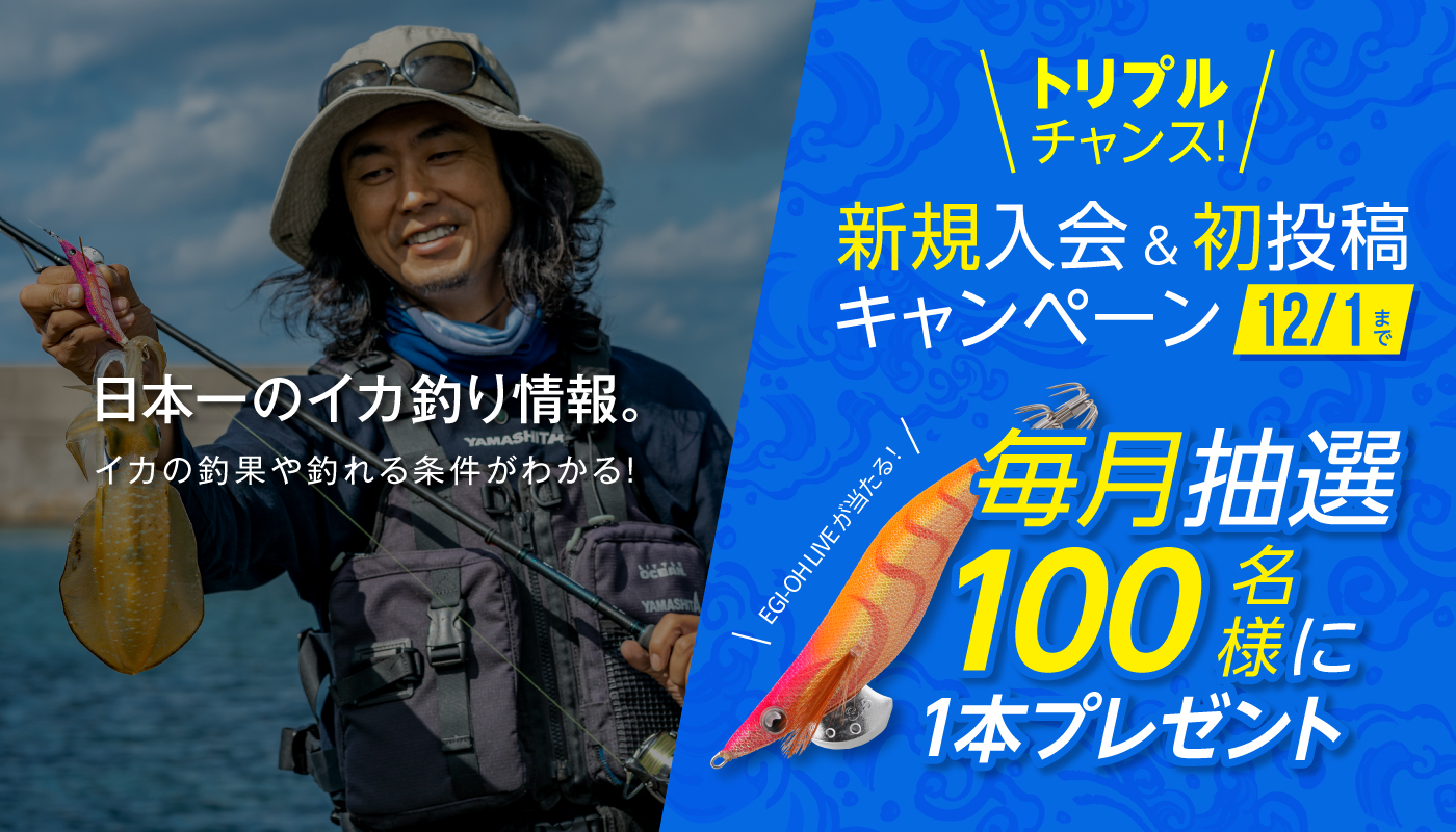 エギCOM熊本釣果情報│日本最大級のイカ釣り情報を誇る25万人利用の